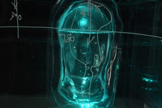 WEB-Front-view-Symbiotic-Illusions